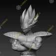 Vegeta5.jpg Vegeta (classic armor)