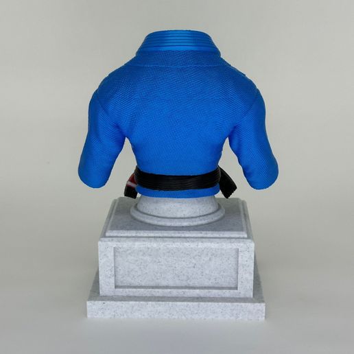 a3.jpg JIUJITSU TROPHY