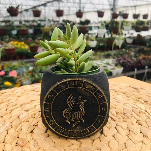 Zodiac Sagittarius Planter Pot 3D model