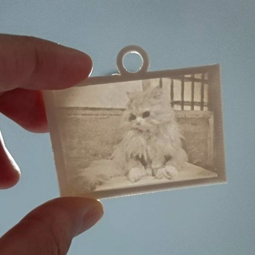 Picture (up light) - Cats