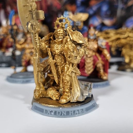 IXION HALE NAME PLATE 40MM 3D model