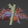 4.png 3D Model of Healthy Human Heart - generated from real patient