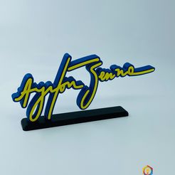 IMG_4837.jpg Ayrton senna logo