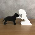 WhatsApp-Image-2023-01-06-at-10.14.23.jpeg Girl and her Pit bull (wavy hair) for 3D printer or laser cut