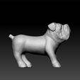 black_dog2.jpg dog