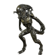 Captura-de-pantalla-700.png Predalien Alien vs Predator xénomorphe