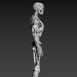 S-9.jpg Terminator T800 Salvation Endoskeleton Pose 1