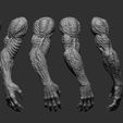 7.jpg 25 Creature arms 3D model ZTL+OBJ+STL