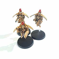 Custom_SoS_Venatari_Painted_4.jpg STL file CUSTOM CUSTODES SISTERS OF SILENCE - VENATARI (MODULAR)・3D printing design to download