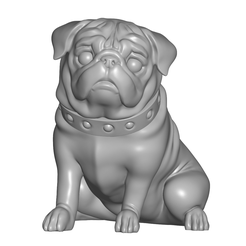 Pug.png Pug 3D MODEL