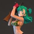 bulma.jpg Bulma