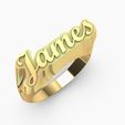 james-ring-16.2.jpg james logo signet ring