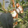08-Monkey-Loco.jpg STL file MONKEY CRAZY FLEXIBLE・3D printer model to download