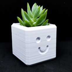 LRM_EXPORT_20171213_170533.jpg Free STL file Happy Planter / 3D printed planter・3D print design to download