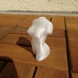 f3ccdd27d2000e3f9255a7e3e2c48800_display_large.jpg Free STL file woman torso sculpture, nude・3D print model to download