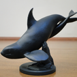 003.png Orca and Calf