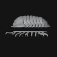 131046.png Cubaris Rubber Ducky Isopod Roly Poly