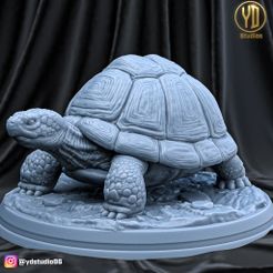 render.jpg Fichier STL Tortue・Plan à imprimer en 3D à télécharger