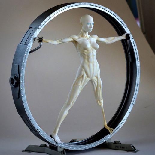 Vitruvian Host  (Westworld)
