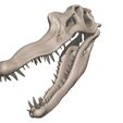 03.jpg Spinosaurus aegypticus