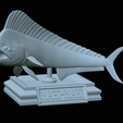 mahi-mahi-model-1-29.png fish mahi mahi / common dolphin trophy statue detailed texture for 3d printing