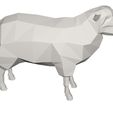 10003.jpg sheep animal