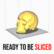 Preview5.png 3D file Human Skull for 3D Printing・3D printable model to download