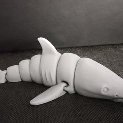 picture04.jpg Articulated Shark (print in place - no support)