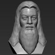 12.jpg Dumbledore from Harry Potter bust for full color 3D printing