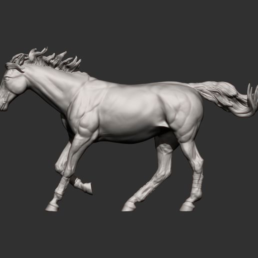 racehorse-3d-model-8b83a9f8a8.jpg Modelo de impresión 3D de un caballo de carreras
