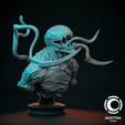 BustCarnage_3.png Carnage Bust V2
