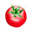 1.jpg TOMATO FRUIT VEGETABLE FOOD 3D MODEL - 3D PRINTING - OBJ - FBX - 3D PROJECT RED TOMATO FRUIT VEGETABLE FOOD