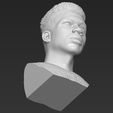 19.jpg Giannis Antetokounmpo bust ready for full color 3D printing