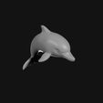 0106_Dolphin_0002.jpg Dolphin