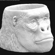 Screenshot from 2020-04-05 09-17-34.png Vase - Ape Head