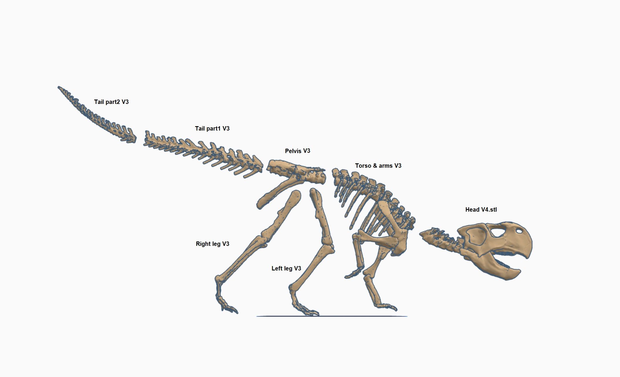 Parts.jpg Download STL file Dinosaur skeleton - Psittacosaurus V3 • 3D print template, Think3dprint