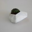 IMG_7264.JPG Flower Pot