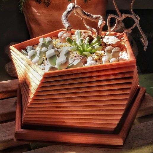 20180713_101803-01.jpeg PentaPot