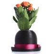 SAM_0393.jpg Bowler Hat Mini Plant Pot for Succulent&Cactus