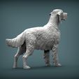 English-Setter7.jpg English Setter 3D print model