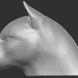 5.jpg Cougar / Mountain Lion head for 3D printing