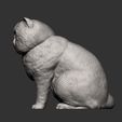 Exotic-Shorthair-Snoopy7.jpg Exotic Shorthair Snoopy cat 3D print model