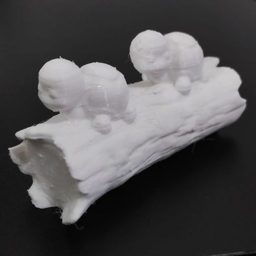 Turtles-Trunk6.jpeg Turtle Trunk