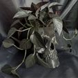SKULL-POT-11.jpg POTE DE CAVEIRA