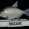 Bream-statue-19.png fish Common bream / Abramis brama statue detailed texture for 3d printing
