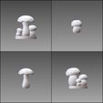 type3.jpg Base Bits 2 - Mushrooms 1 - 15 pieces