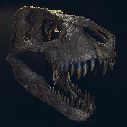 cults3d.com