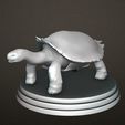 Carbonemy-Turtle1.jpg Carbonemy Turtle FOR 3D PRINTING