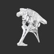 Bassin complet02.jpg Life size baby T-rex skeleton - Part 02/10