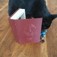 7.jpg Skull Book for dice or candy - Snap close, no magnets needed - Print in Place